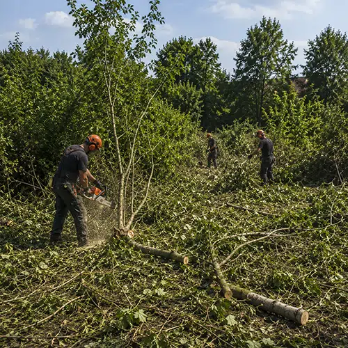 Sanacija prokišnjavanja krova na porodičnoj kući u Bečeju, pre i posle | preduzimac.co.rs Prikaz krova koji prokišnjava i isti krov nakon sanacije
