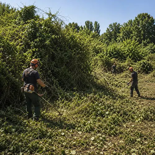 Renoviranje i rekonstrukcija krova na porodičnoj kući u Beočinu | preduzimac.co.rs Prikaz renoviranja i rekonstrukcije krova, pre i posle